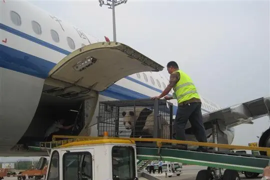 牡丹江空运宁波机场